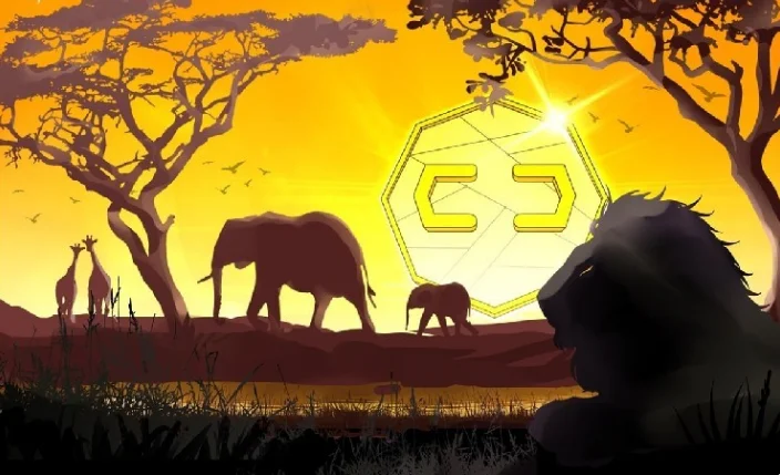 O banco central da África do Sul afirma que "não há necessidade urgente" de uma CBDC (Moeda Digital do Banco Central)