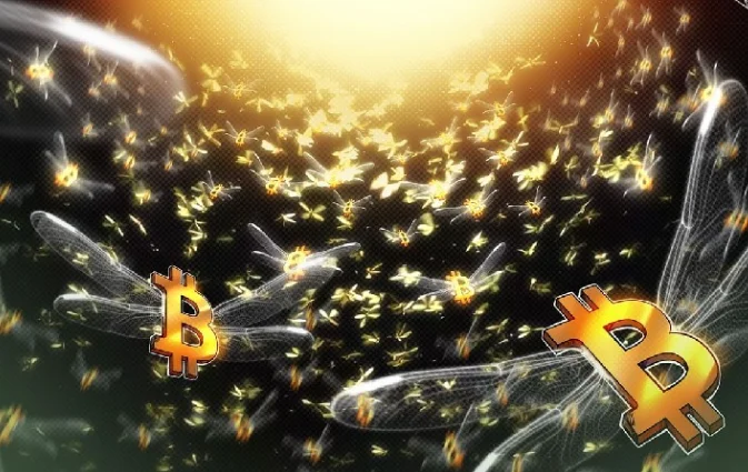 2,000 बिटकॉइन चल रहे हैं: दुर्लभ कैसासियस सिक्के 13 साल बाद फिर से सामने आए