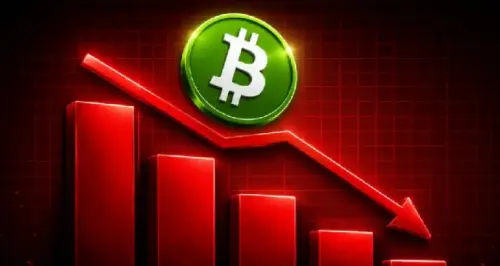 Severe Crypto Market Flush: Bitcoin Plummets Below $77,000 Following $478 Million in Position Liquidations